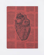 Anatomical Heart Softcover Notebook Lined