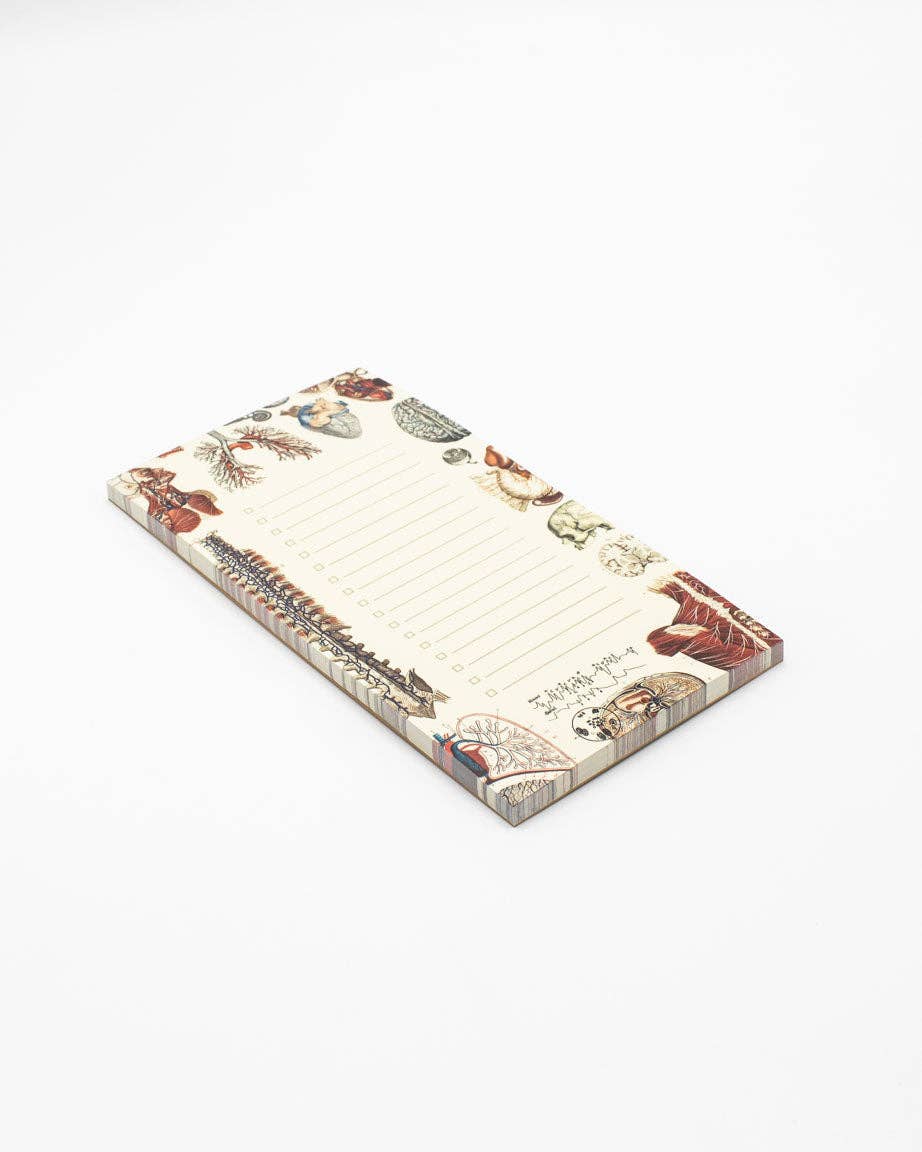 Human Anatomy List Pad