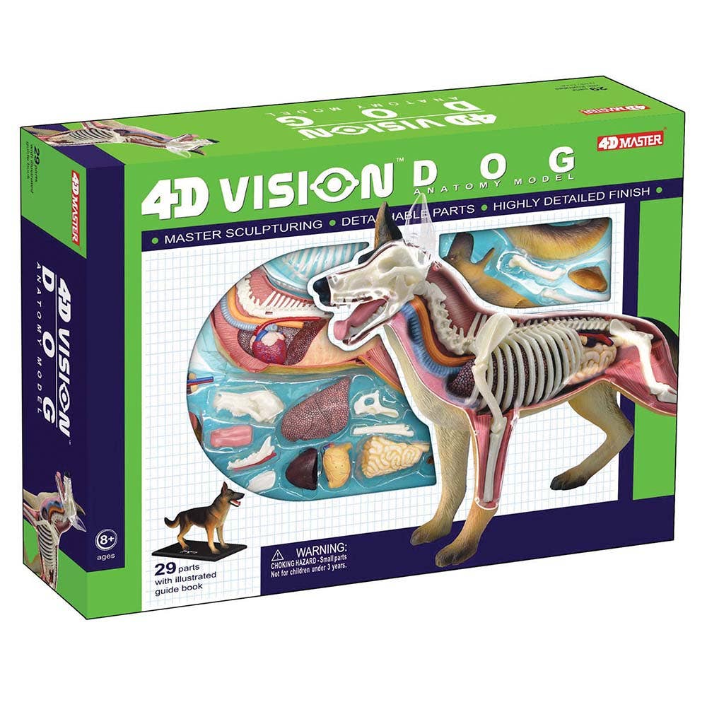 4D German Shepard Dog