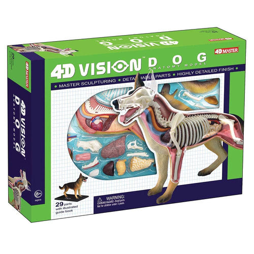 4D German Shepard Dog