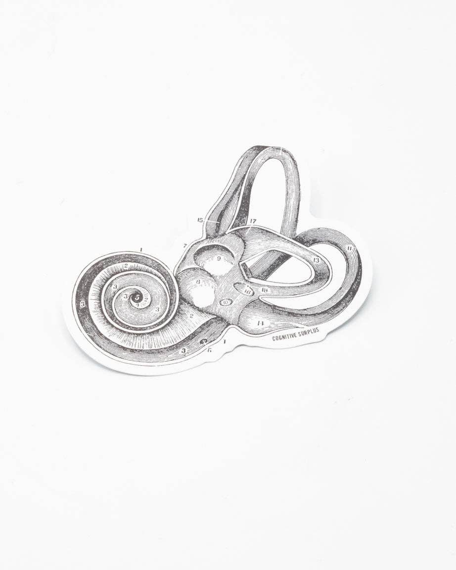 Inner Ear Sticker