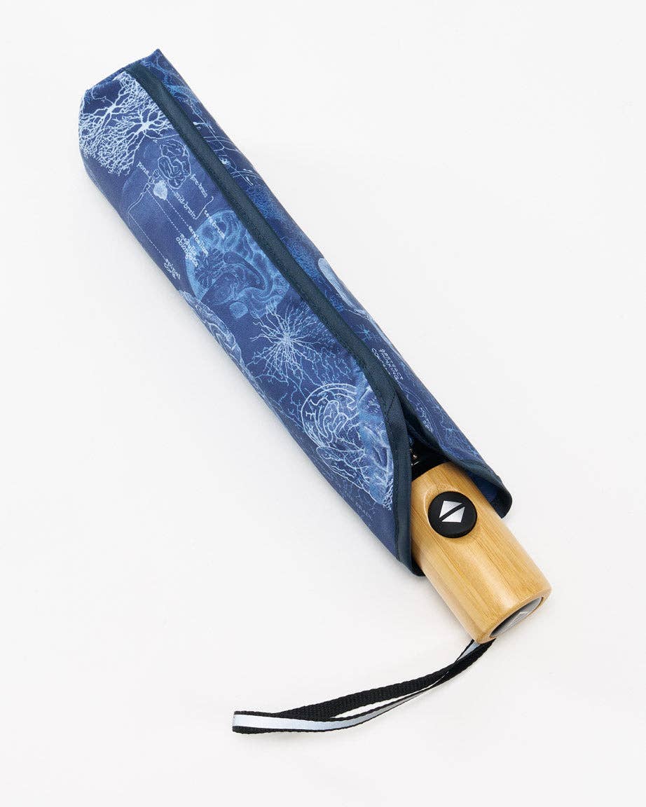Brain Umbrella