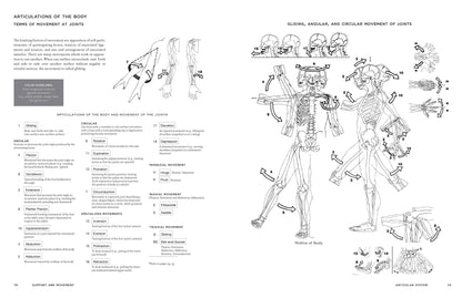 McMurtrie's Human Anatomy Coloring Book