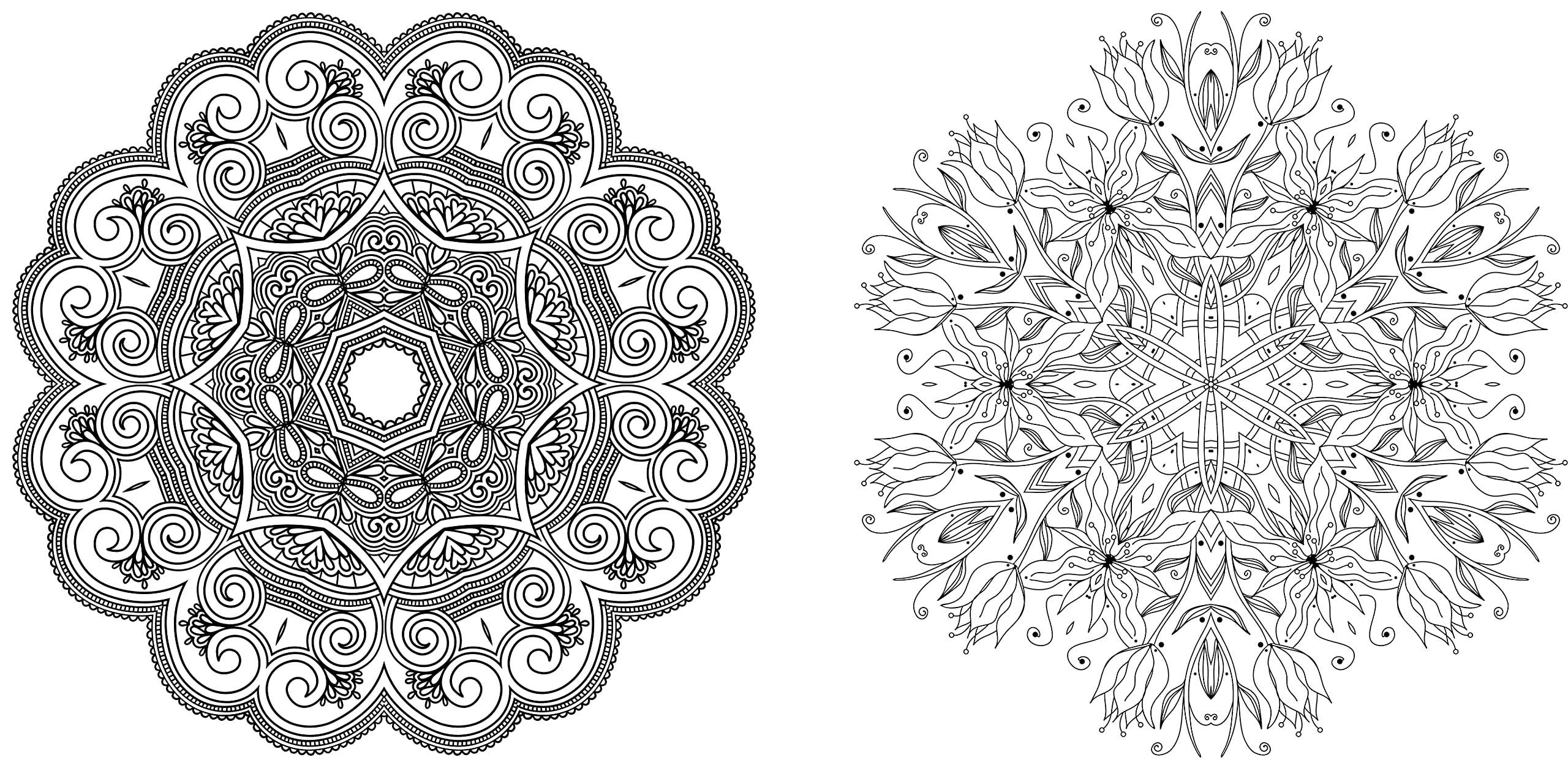 Mandala Meditation Coloring Book