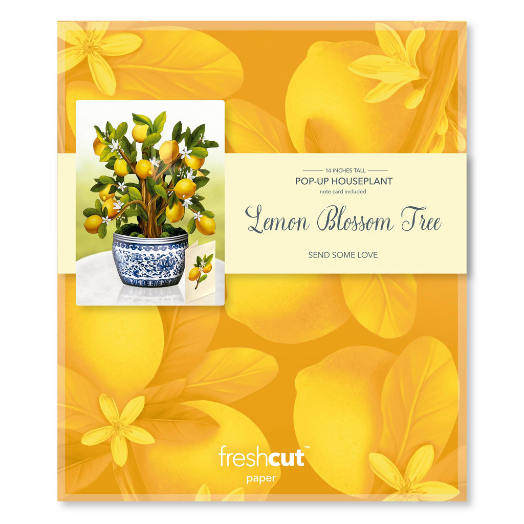 Lemon Blossom Tree