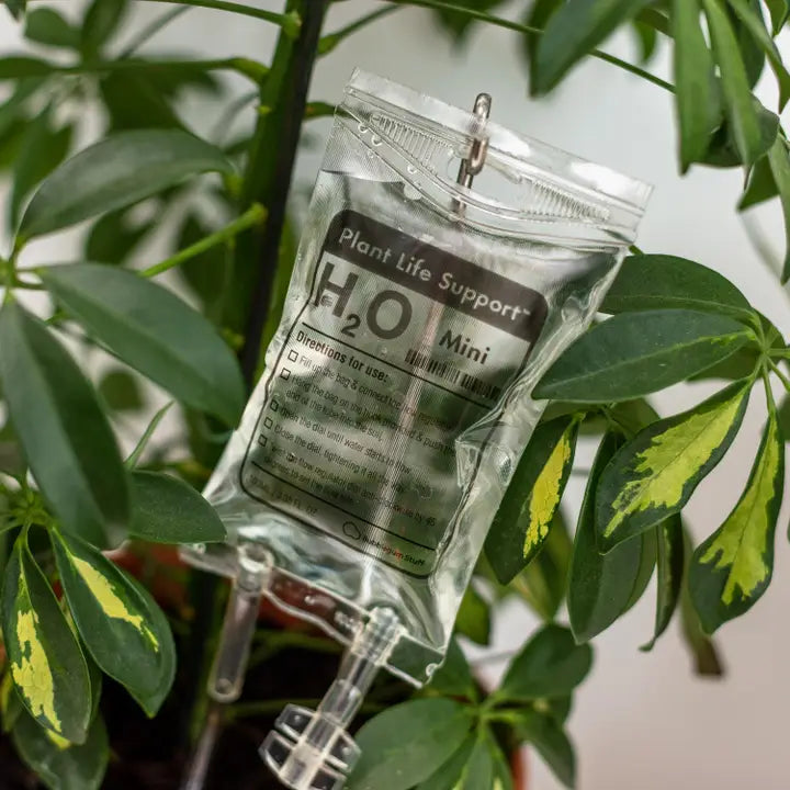 Mini Plant Life support