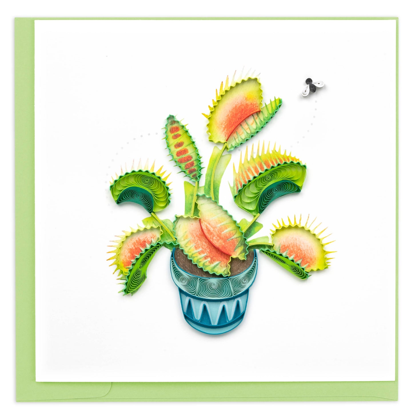 Venus Flytrap