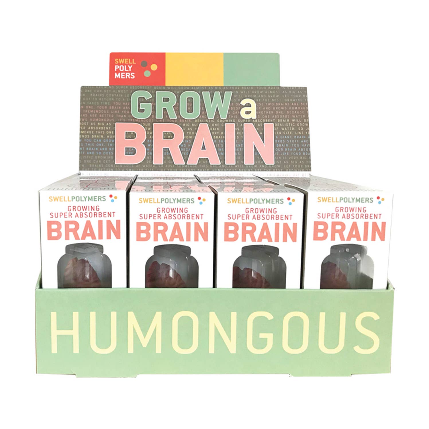 Grow a Brain | 
Anatomy Model Polymer Brain Science Kit