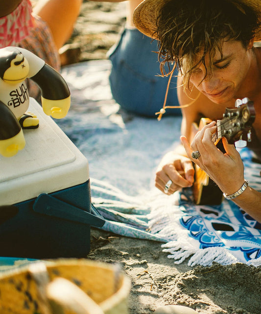 Vinyl SONNY Figure