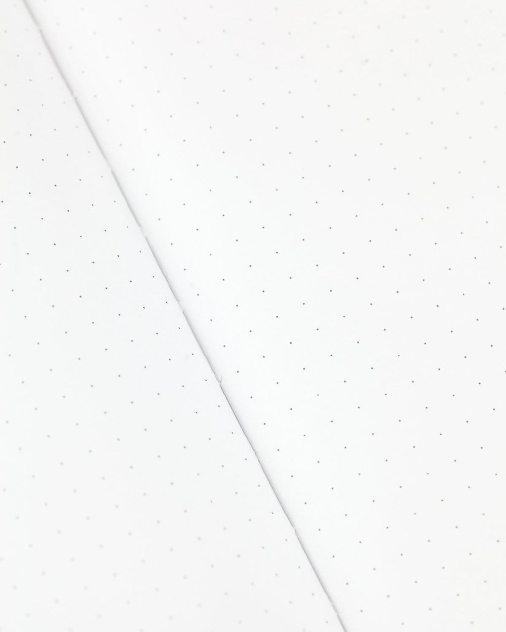 Frogs & Toads Hardcover - Dot Grid Page Notebook