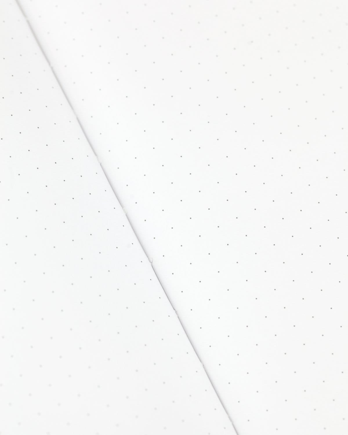 Frogs & Toads Hardcover - Dot Grid Page Notebook