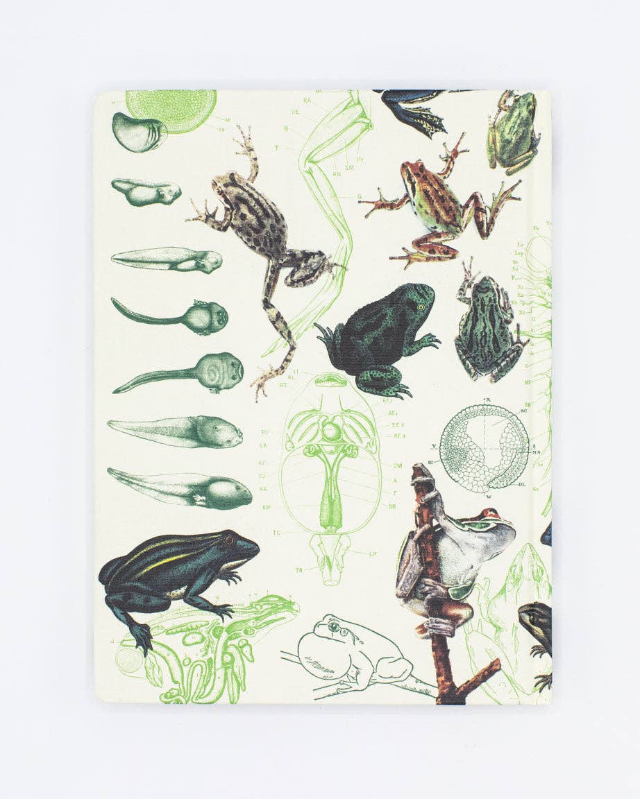 Frogs & Toads Hardcover - Dot Grid Page Notebook