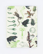 Frogs & Toads Hardcover - Dot Grid Page Notebook
