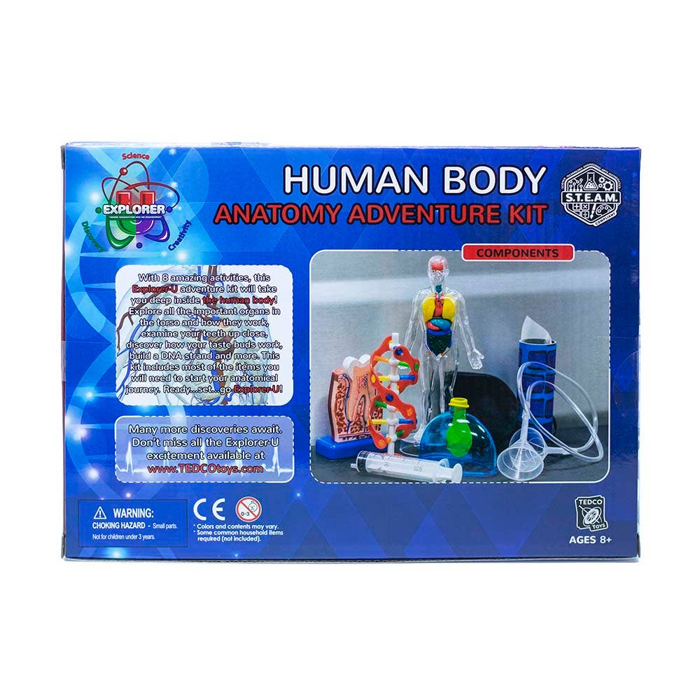 Human Body Adventure Kit