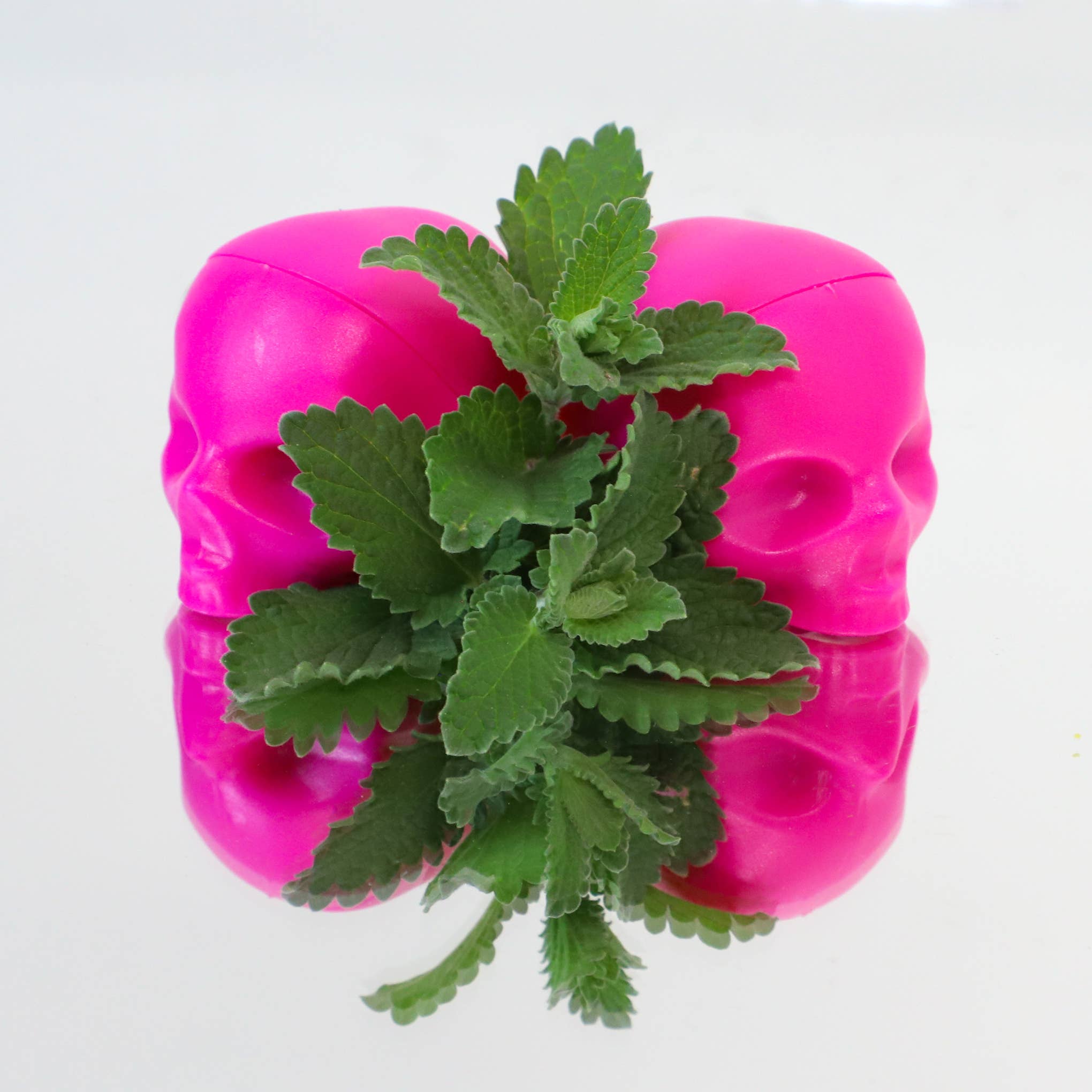 Pink Skull Lip Balm