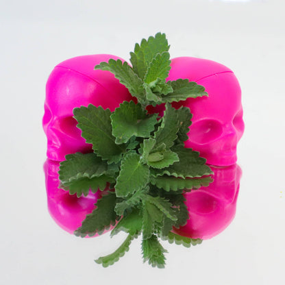 Pink Skull Lip Balm