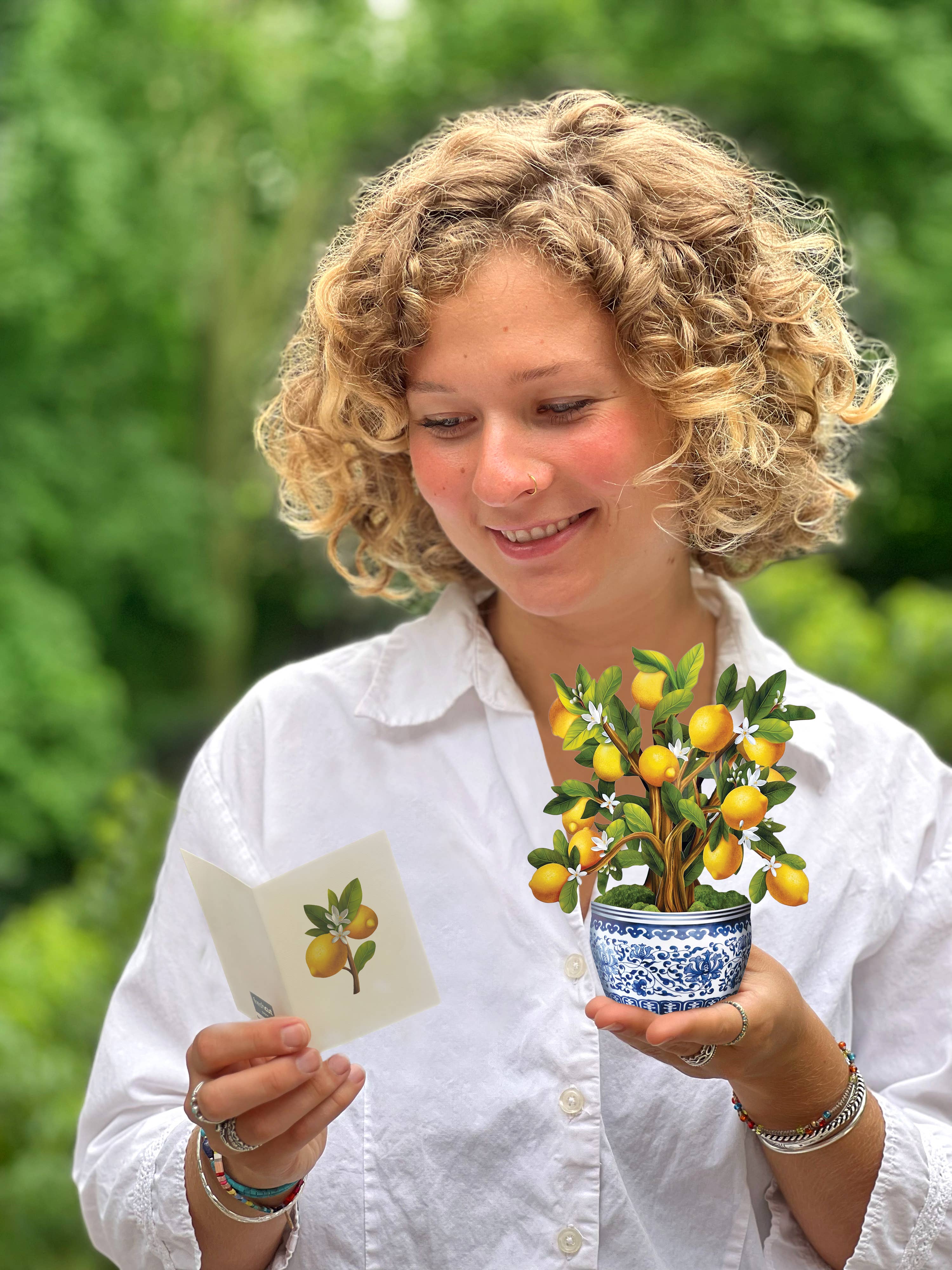 Mini Lemon Blossom Tree