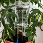 Mini Plant Life support