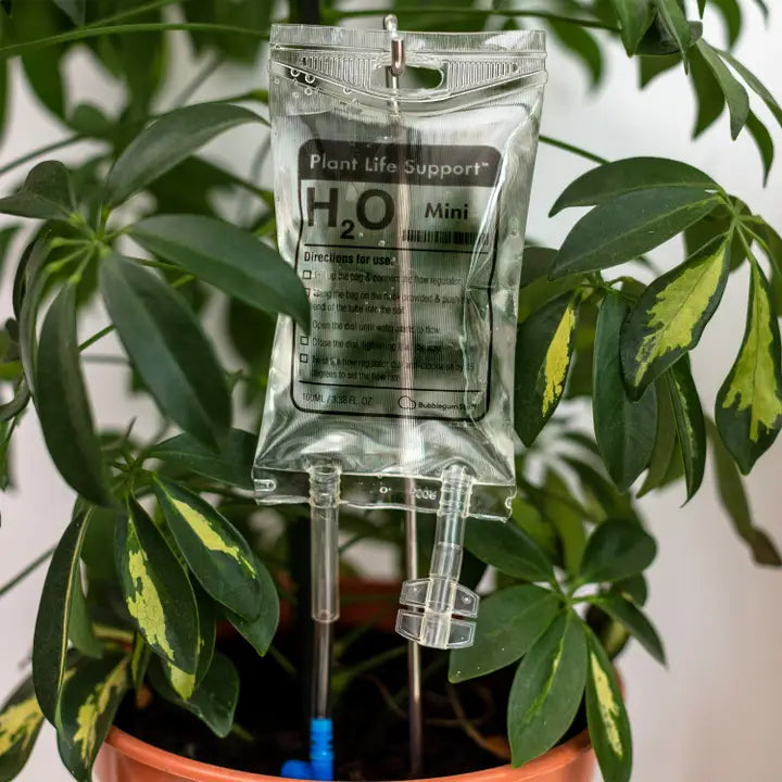 Mini Plant Life support