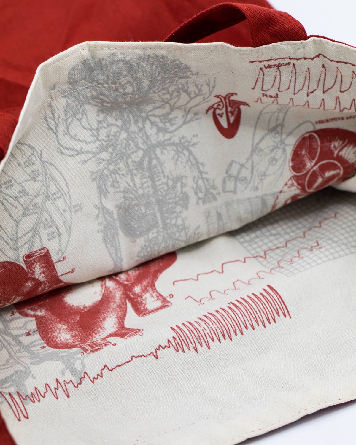 Anatomical Heart Canvas Shoulder Tote Bag