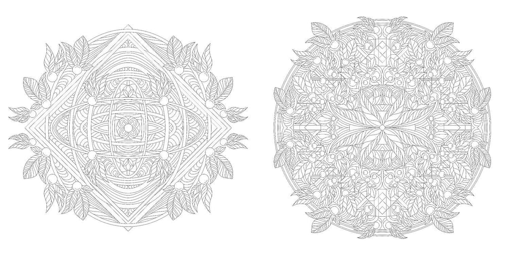 Floral Mandalas Coloring Book by Sara Muzio
