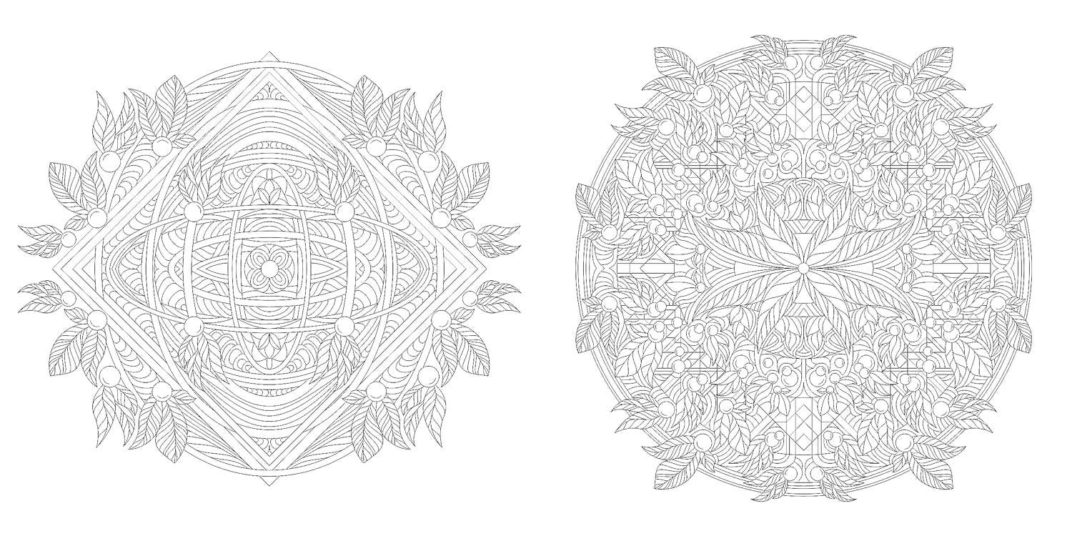 Floral Mandalas Coloring Book by Sara Muzio