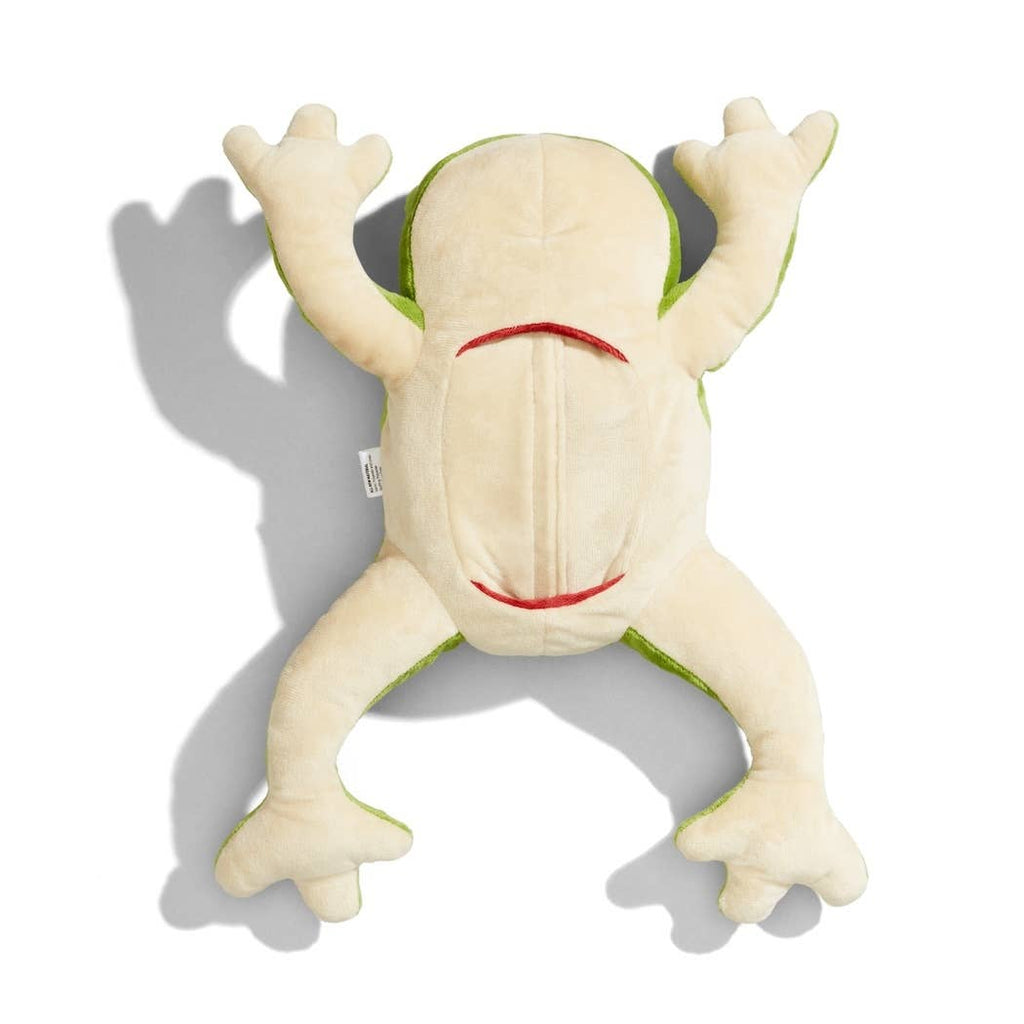 Froggie Dissection Lab, Anatomy Learning Toy for Kids