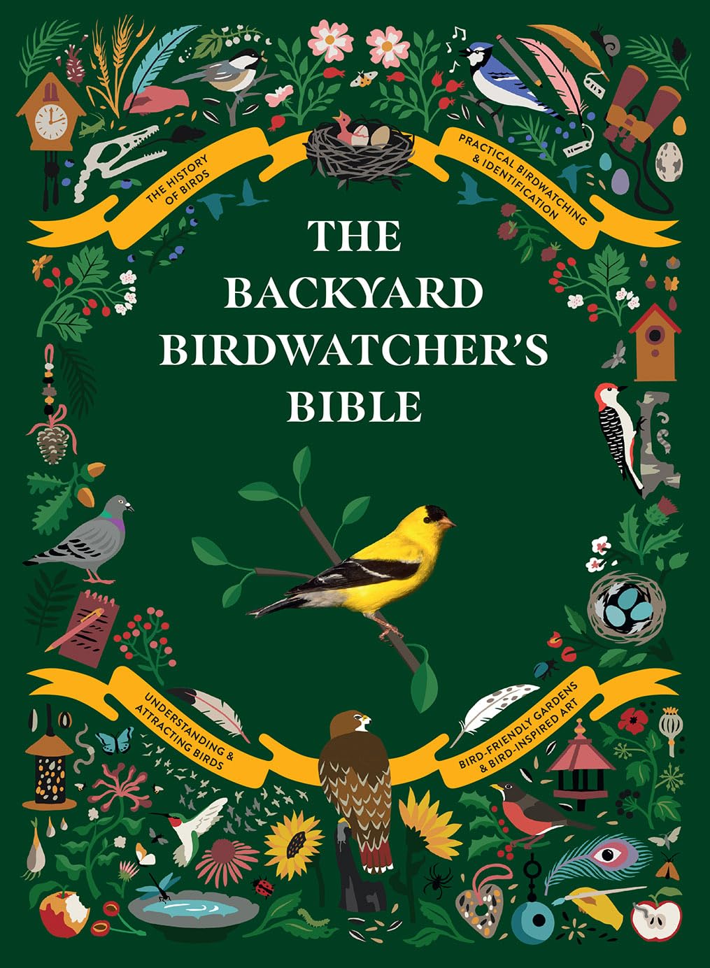 Backyard Birdwatchers