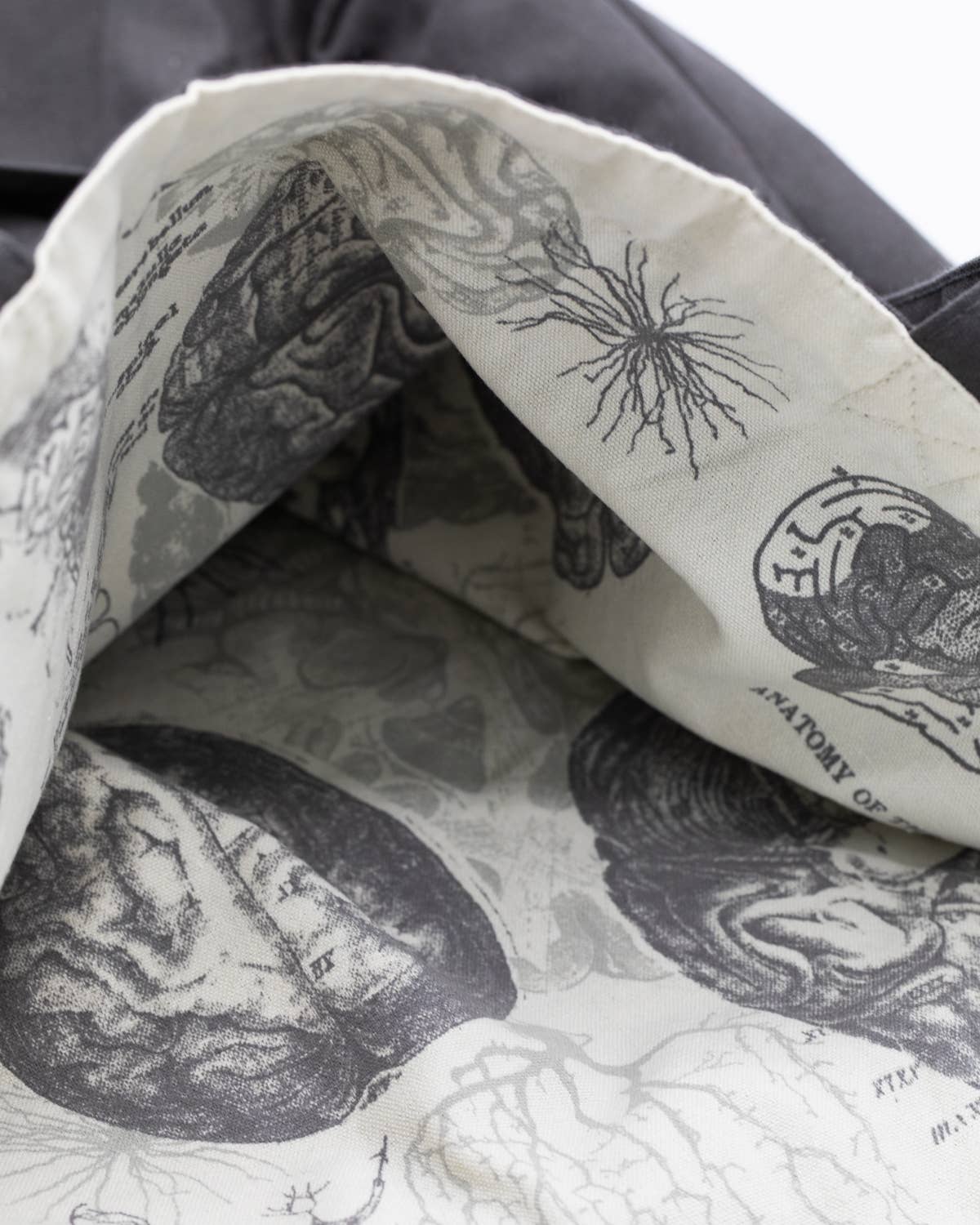 Brain Anatomy Canvas Shoulder Tote Bag