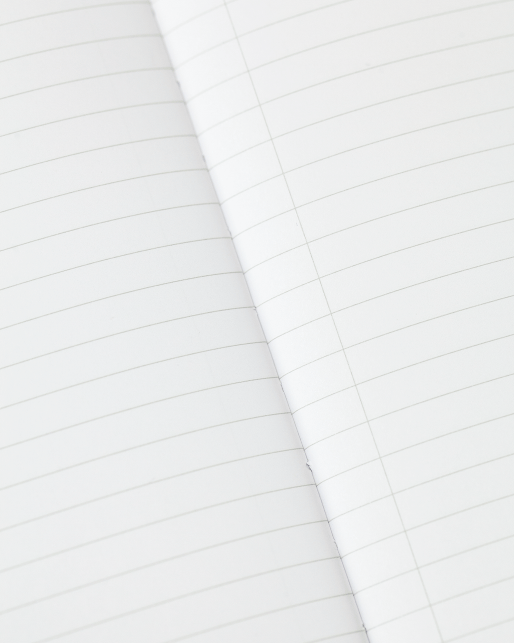 Anatomy: Vascular Softcover Notebook - Lined Pages