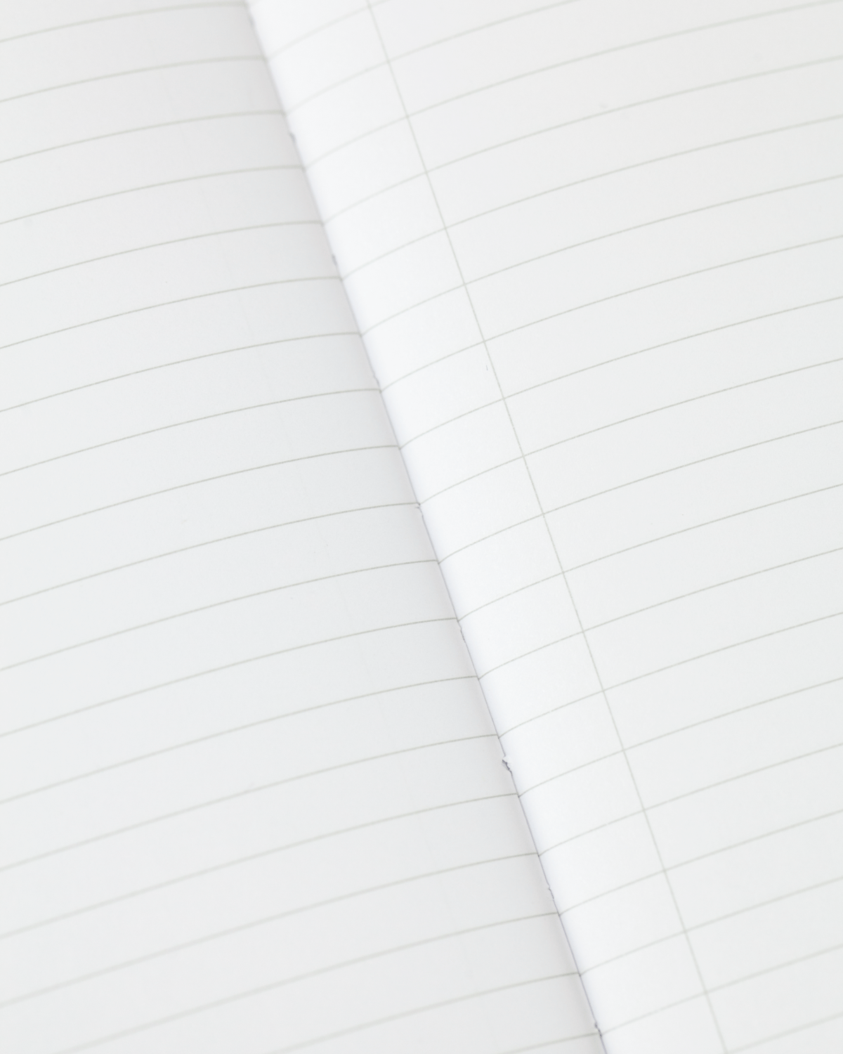 Anatomy: Vascular Softcover Notebook - Lined Pages