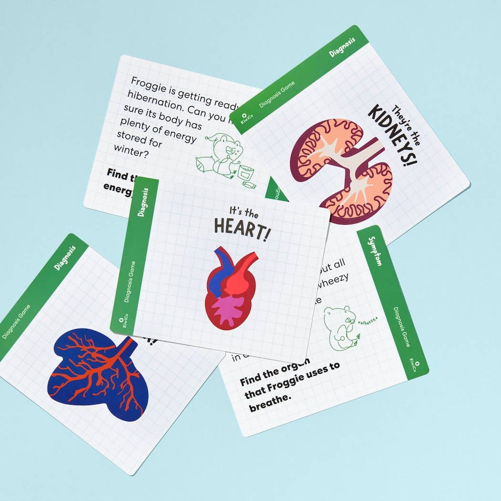 Froggie Dissection Lab, Anatomy Learning Toy for Kids