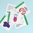 Froggie Dissection Lab, Anatomy Learning Toy for Kids