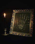 Anatomy prints