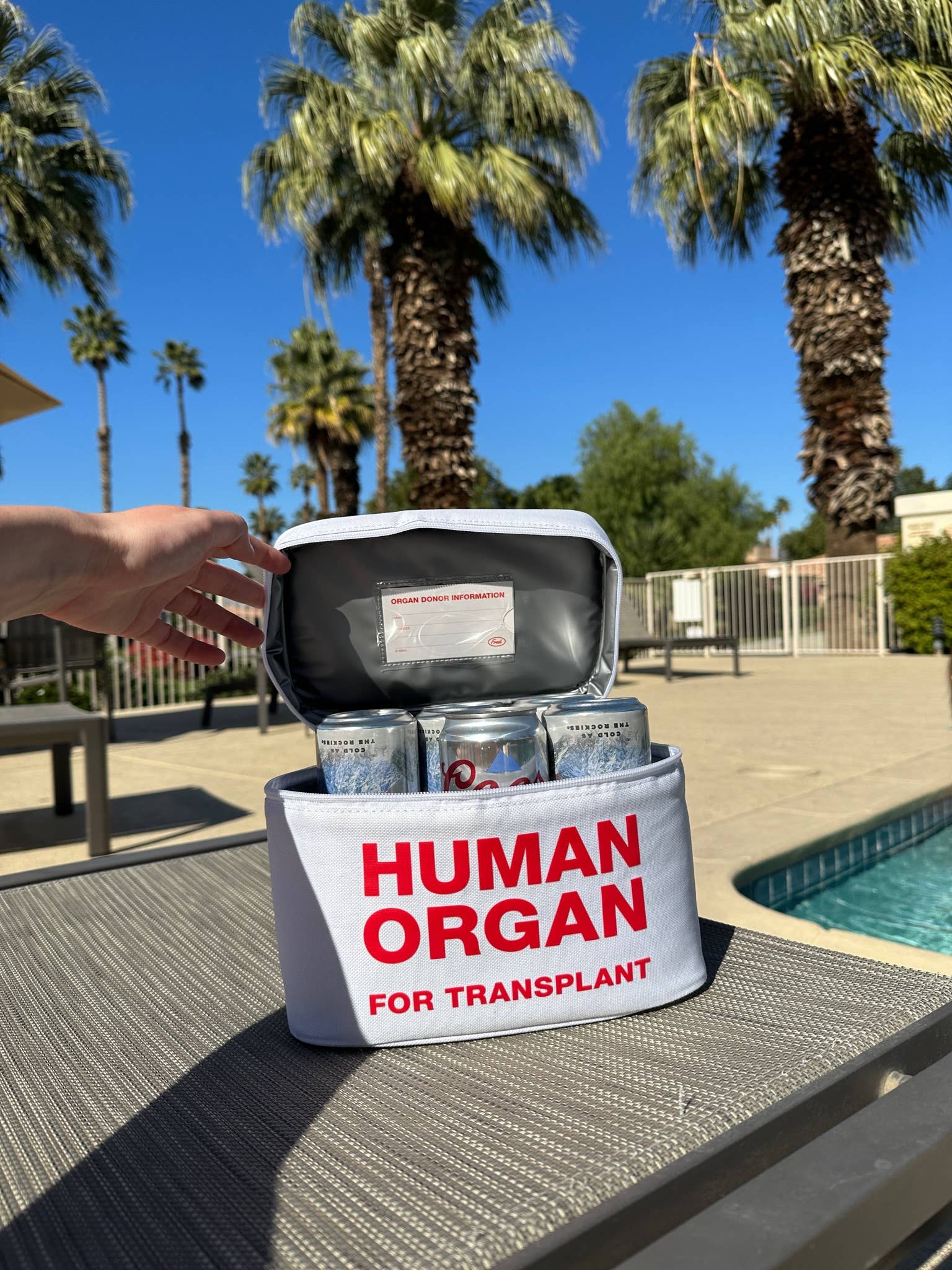 Human Organ Transplant Lunch Box