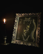 Anatomy prints