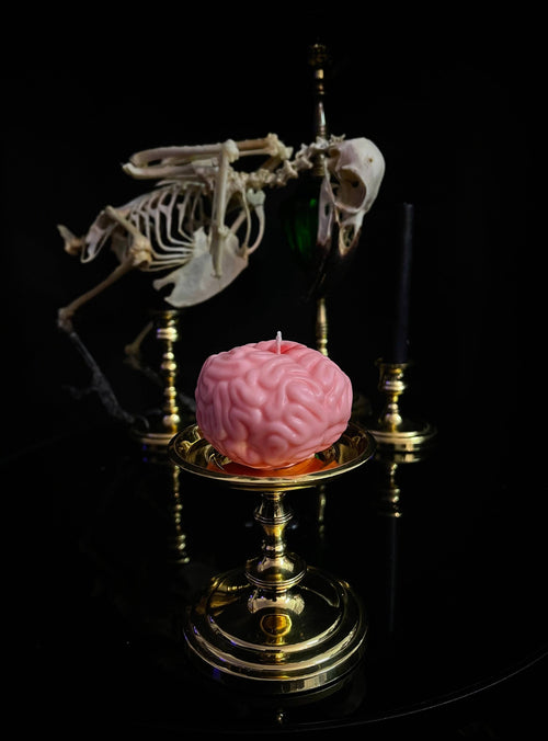 Brain Candle