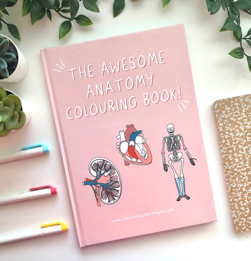 Awesome Anatomy Colouring Book