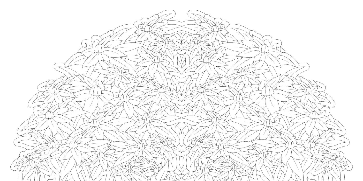 Floral Mandalas Coloring Book by Sara Muzio