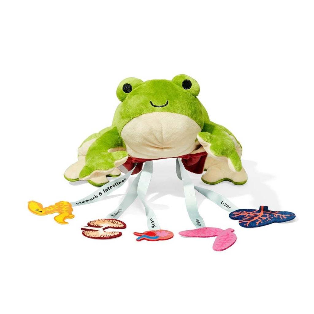Froggie Dissection Lab, Anatomy Learning Toy for Kids