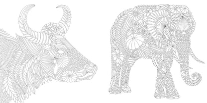 Millie Marotta's Brilliant Beasts Coloring Book