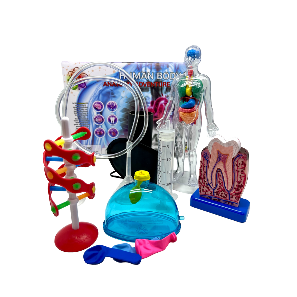 Human Body Adventure Kit