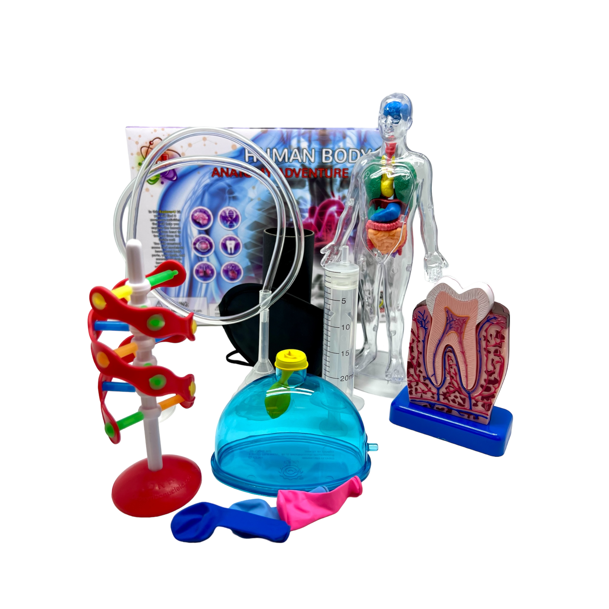 Human Body Adventure Kit