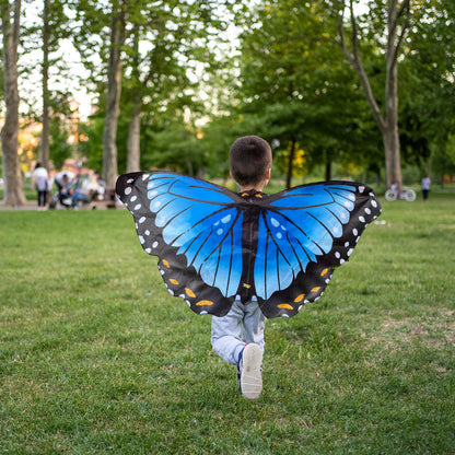 Blue Morpho Butterfly Wings