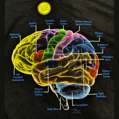 Brain Anatomy T-Shirt