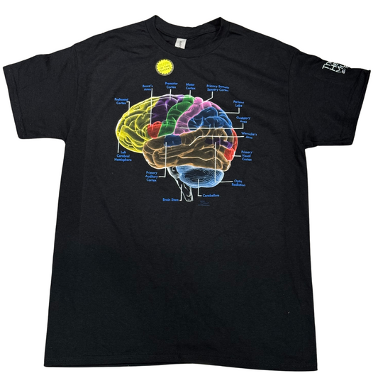 Brain Anatomy T-Shirt