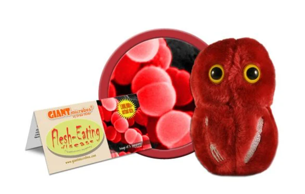Flesh Eating (Streptococcus Pyogenes)