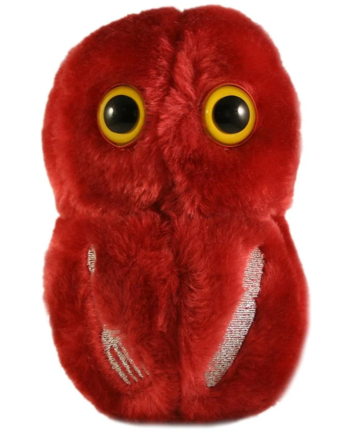 Flesh Eating (Streptococcus Pyogenes)