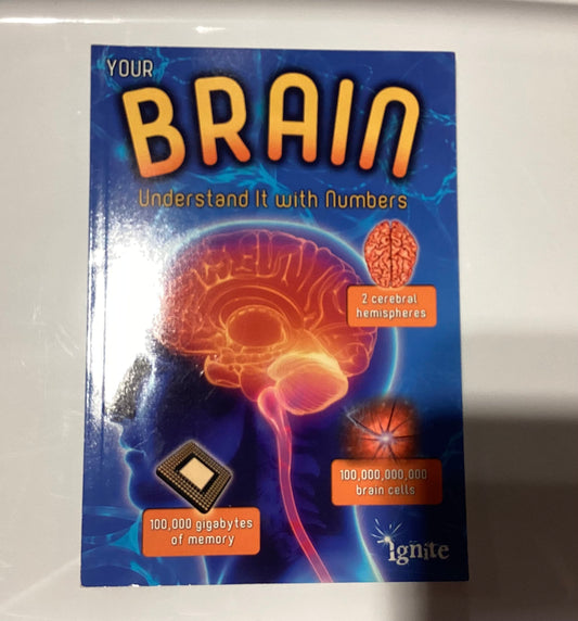 Your Brain