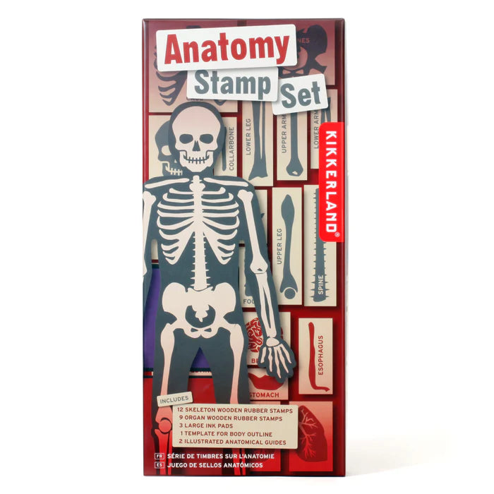 Anatomy Stamp Set